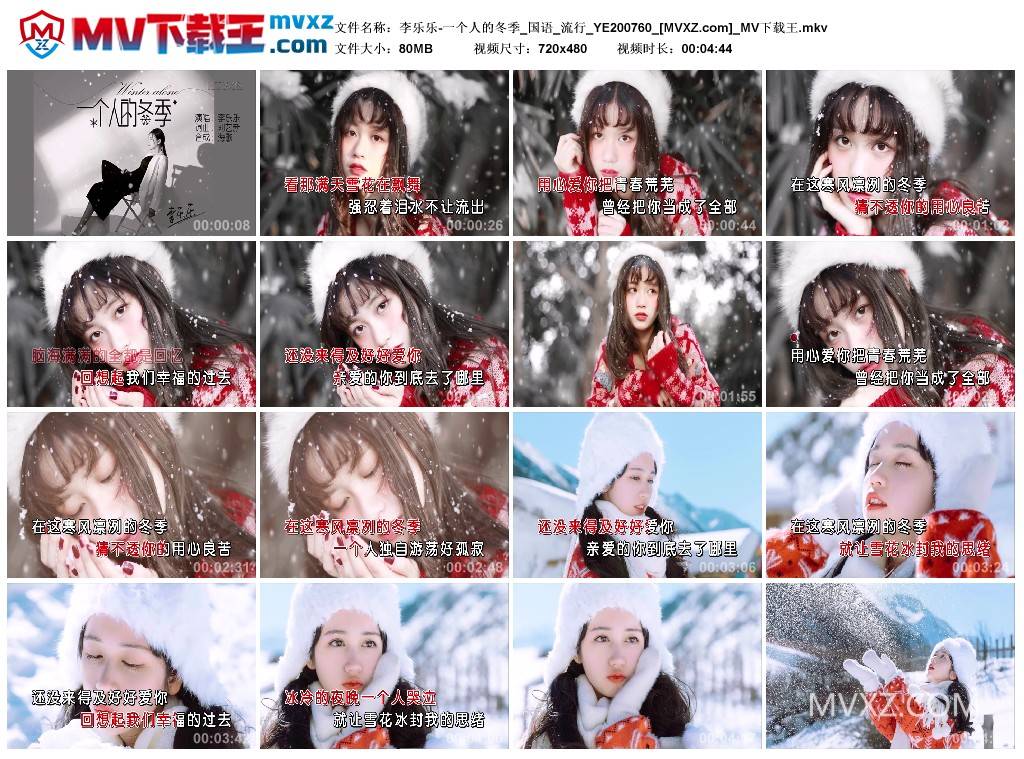 李乐乐-一个人的冬季_国语_流行_YE200760